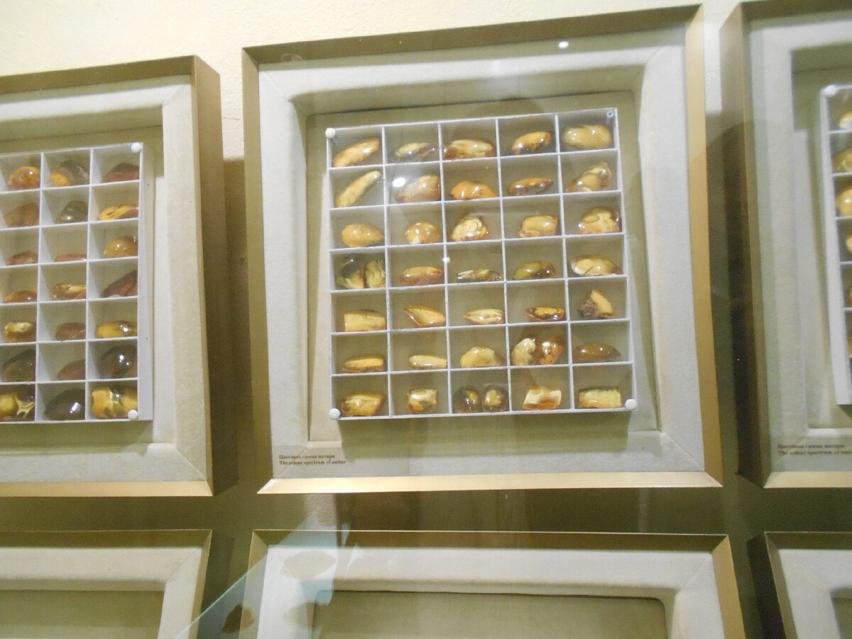 Стенд музея. Фото автора