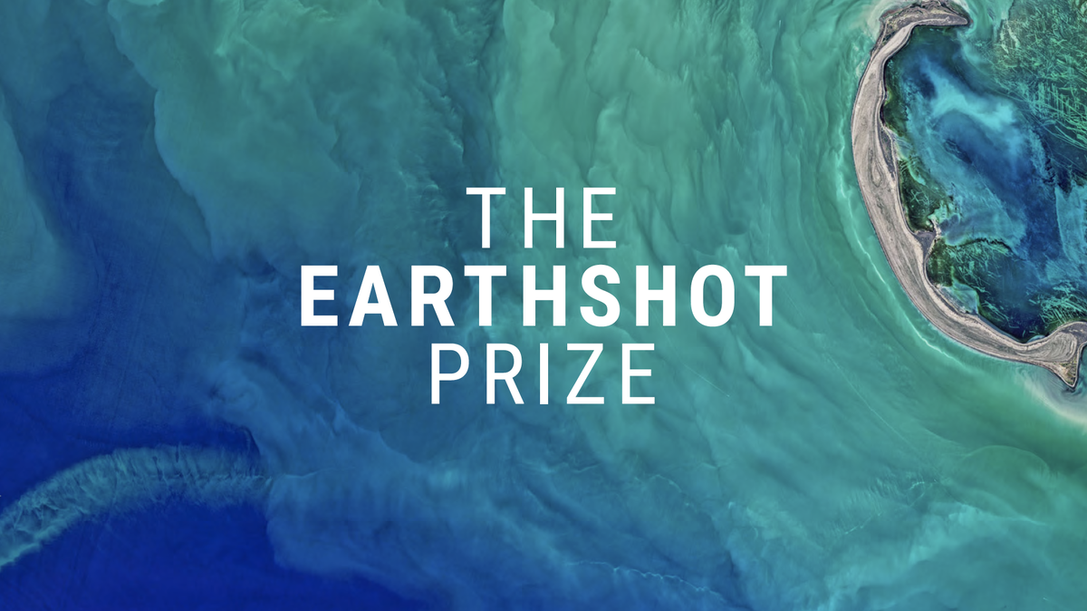 Логотип премии The Earthshot Prize 