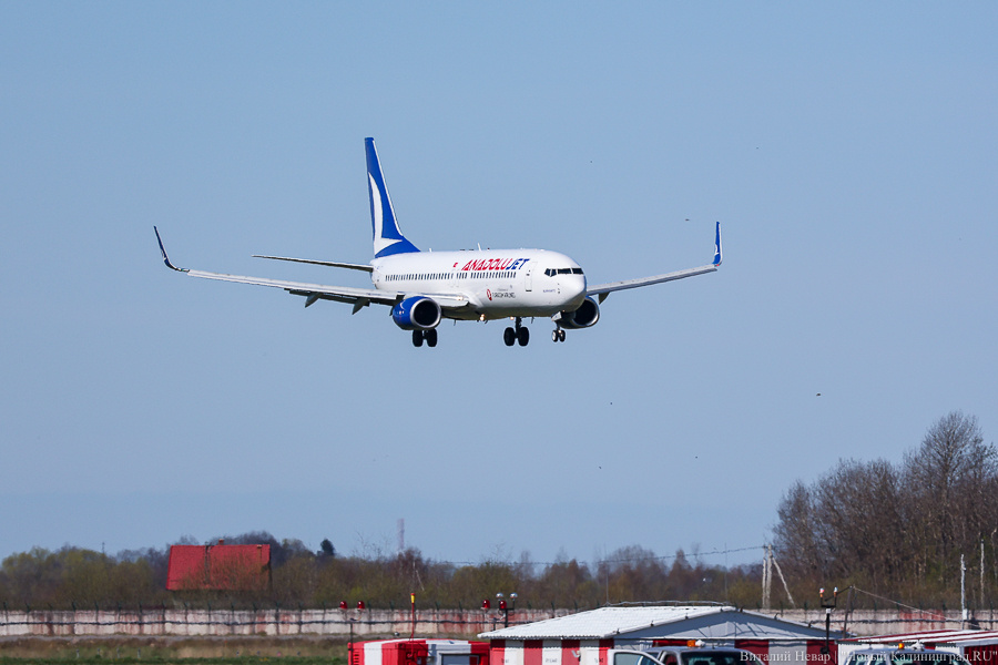 Фото: Виталий Невар / Новый Калининград