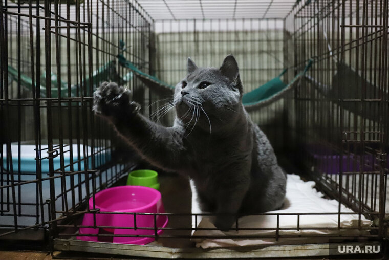    На вольере подопечного животного появится соответствующая табличка (архивное фото)