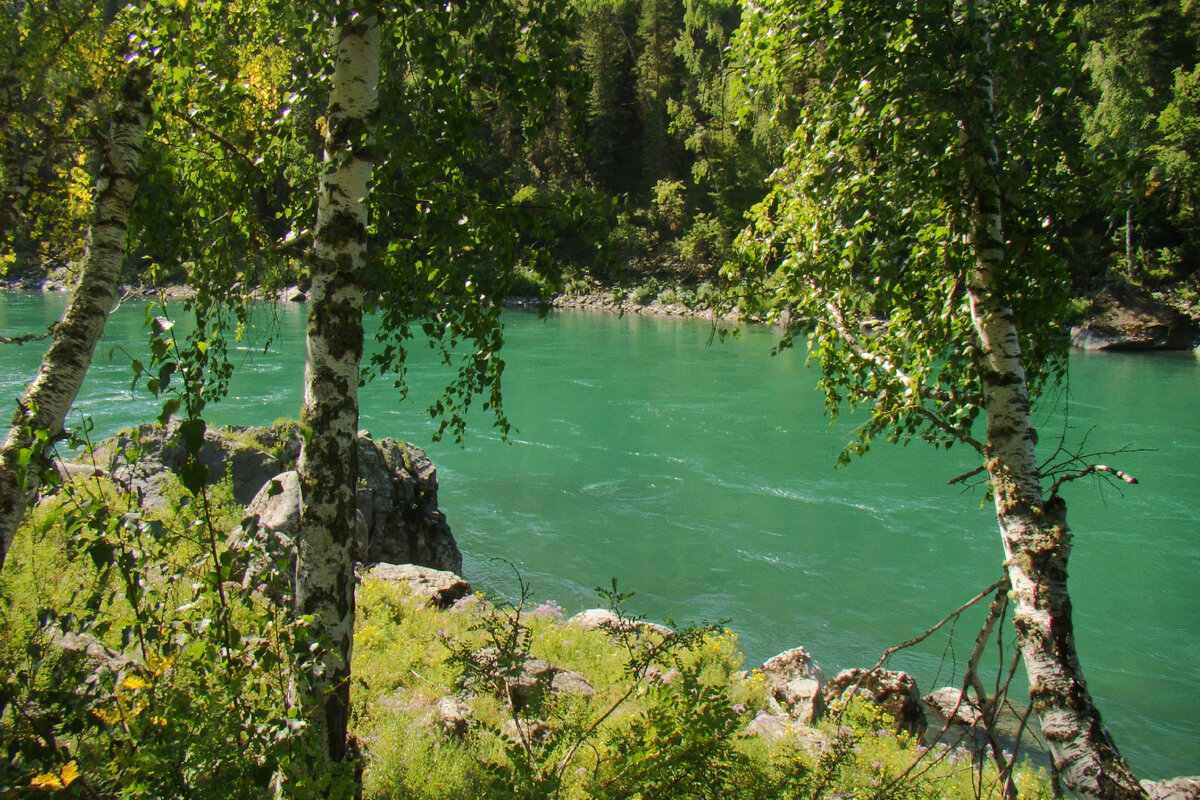 Катунь по дороге вниз, к Антаре