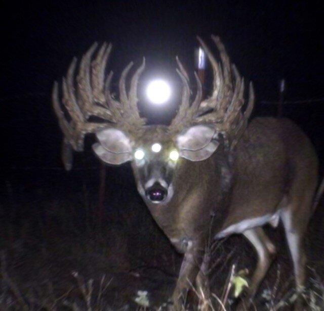 Когда сделал ctrl+c ctrl+v слишком много раз. 