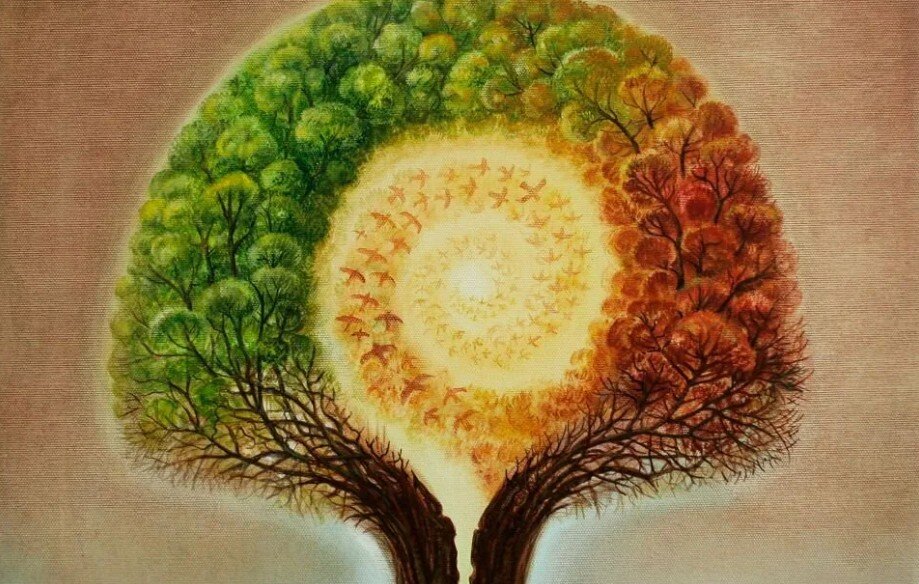 Изображение из Яндекс Картинки