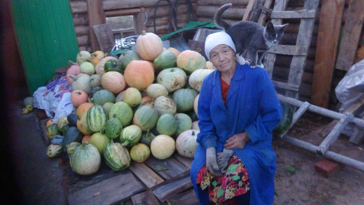 фото автора, моя соседка и ее урожай тыквы