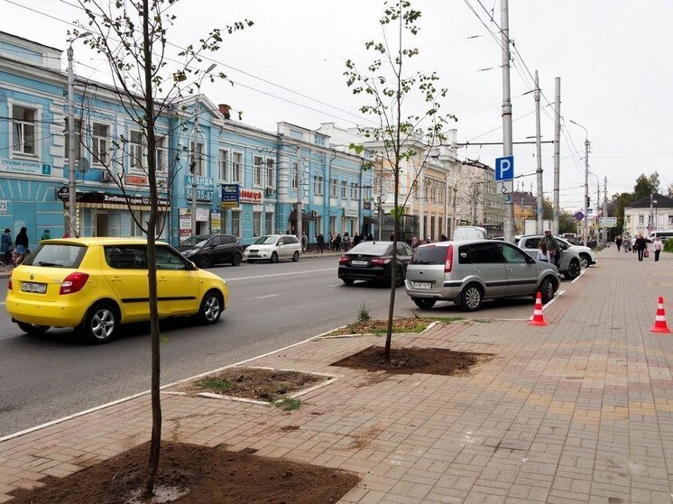     Фото: Дмитрия Денисова