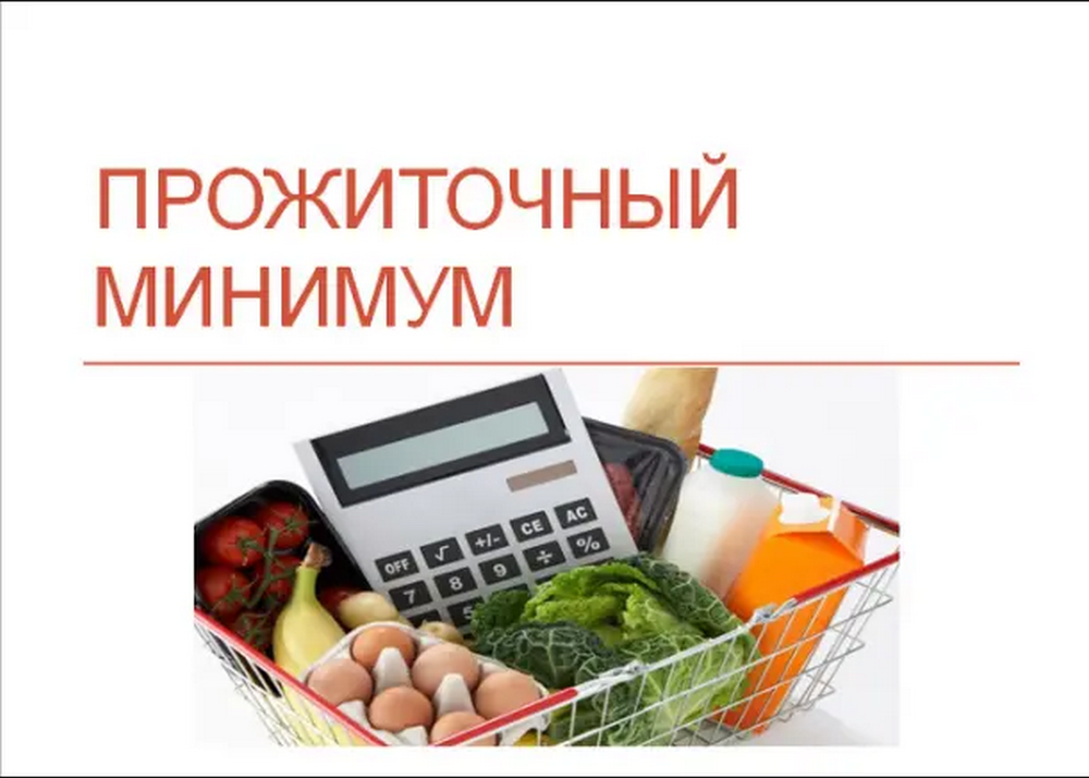 Регионы опубликовали утвержденный размер прожиточного минимума на 2024 год. Люди сомневаются, что на на него можно прожить