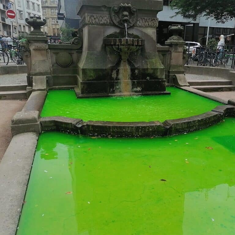    Последствия акции экологов из организации Extinction Rebellion / © X