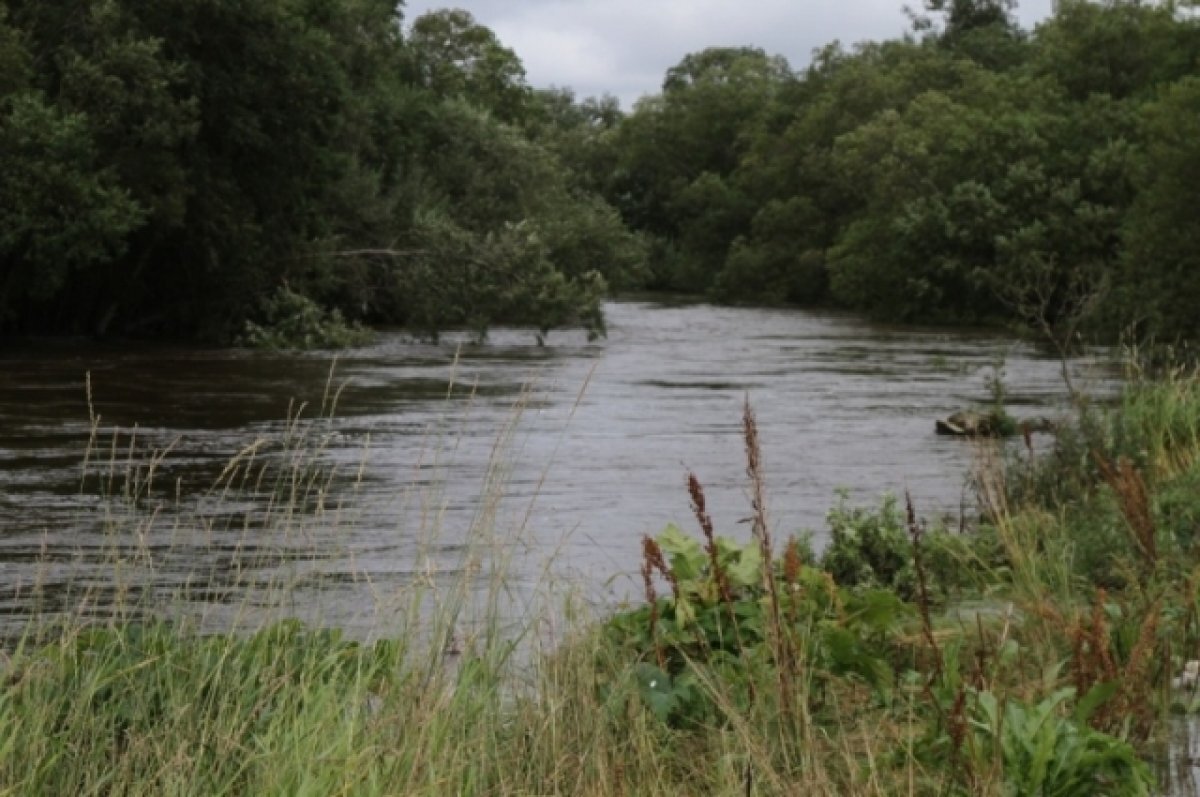    В реке Большой Воровской ожидается подъём уровня воды ночью 27 сентября