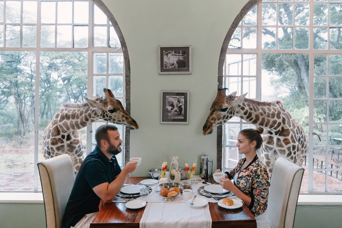 Необычные услуги. Завтрак с жирафами, Giraffe Manor, Найроби, Кения. Отель Giraffe Manor, Кения. Отель Giraffe Manor Найроби Кения ресепшен. Giraffe Manor завтрак.