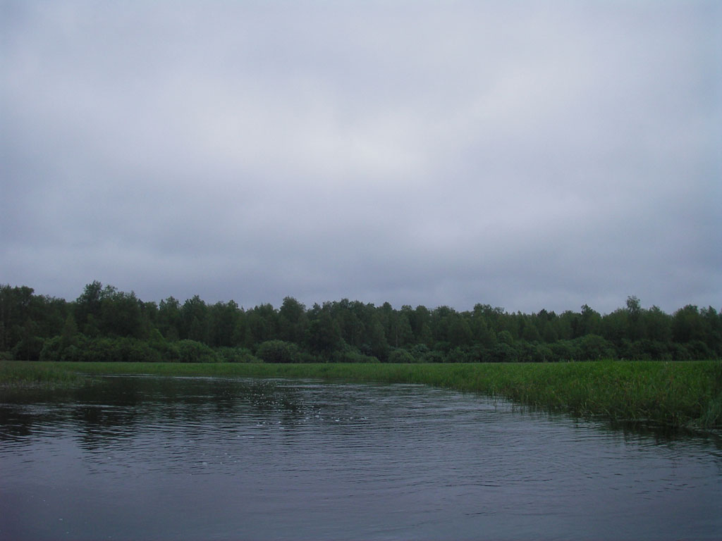 Река кулой. Кулой (река, впадает в белое море).