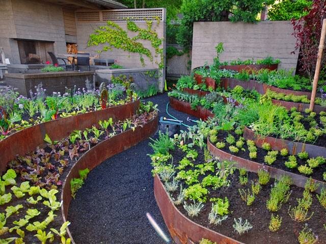 Фото - rozarii.ru/wp-content/uploads/2015/02/original-e1428850531101.jpg