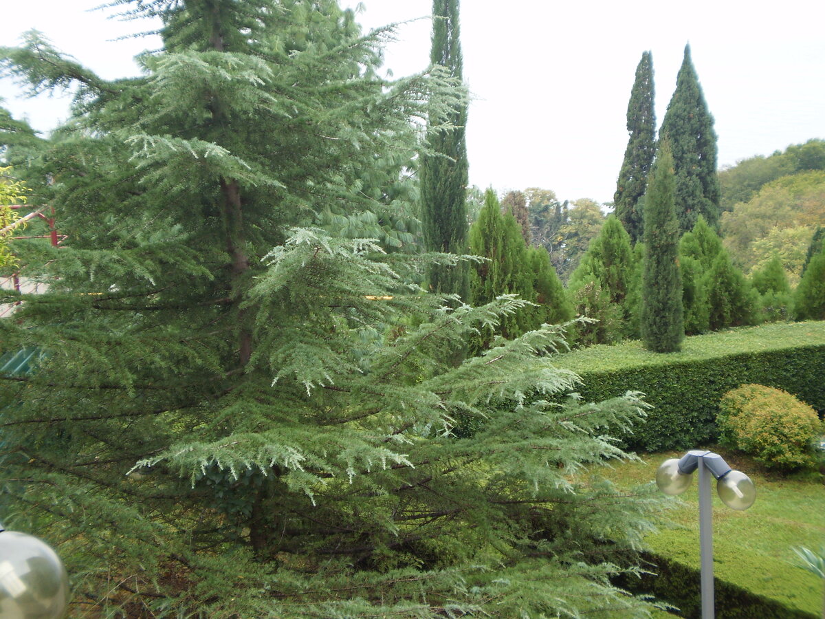 На территории гостиничного комплекса