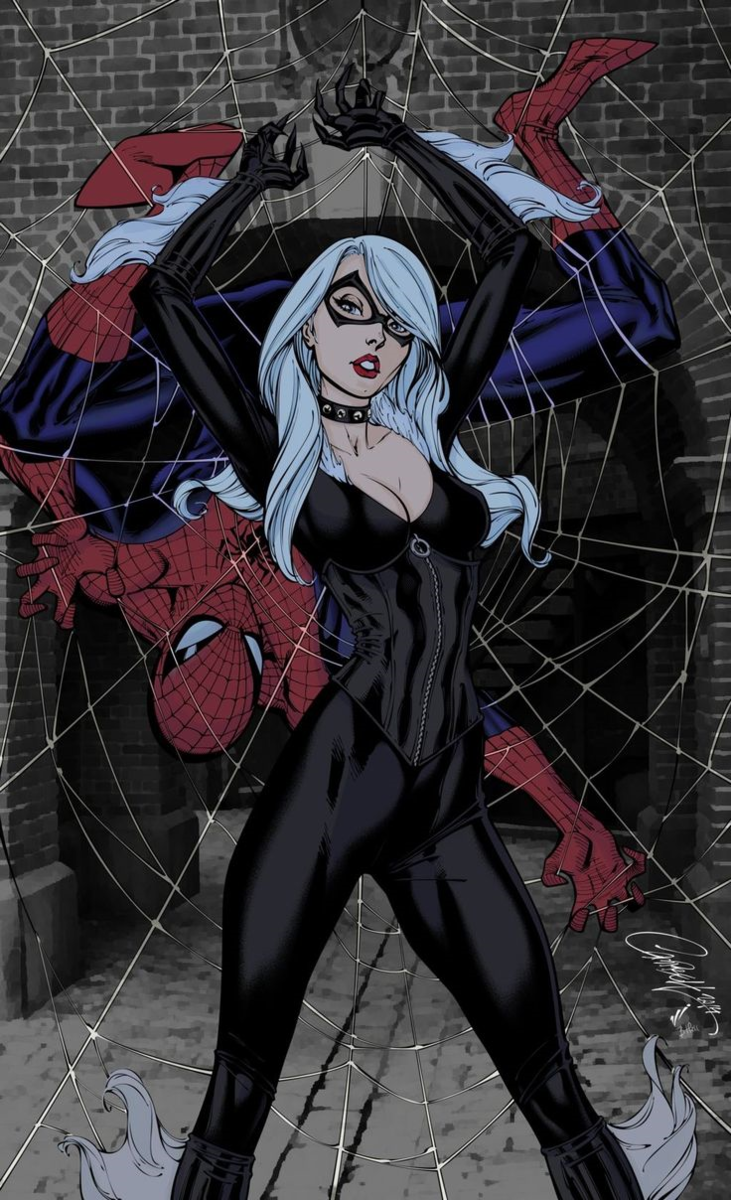 Black cat spider man. Фелиция Харди человек паук. Фелиция Харди чёрная кошка 1994. Чёрная кошка Marvel 18 Spider man. Фелиция Харди мультсериал.