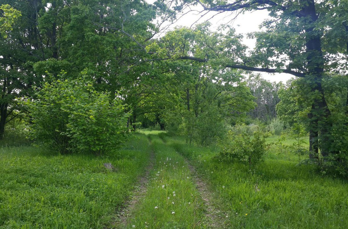Фото: Андрей Журавлев