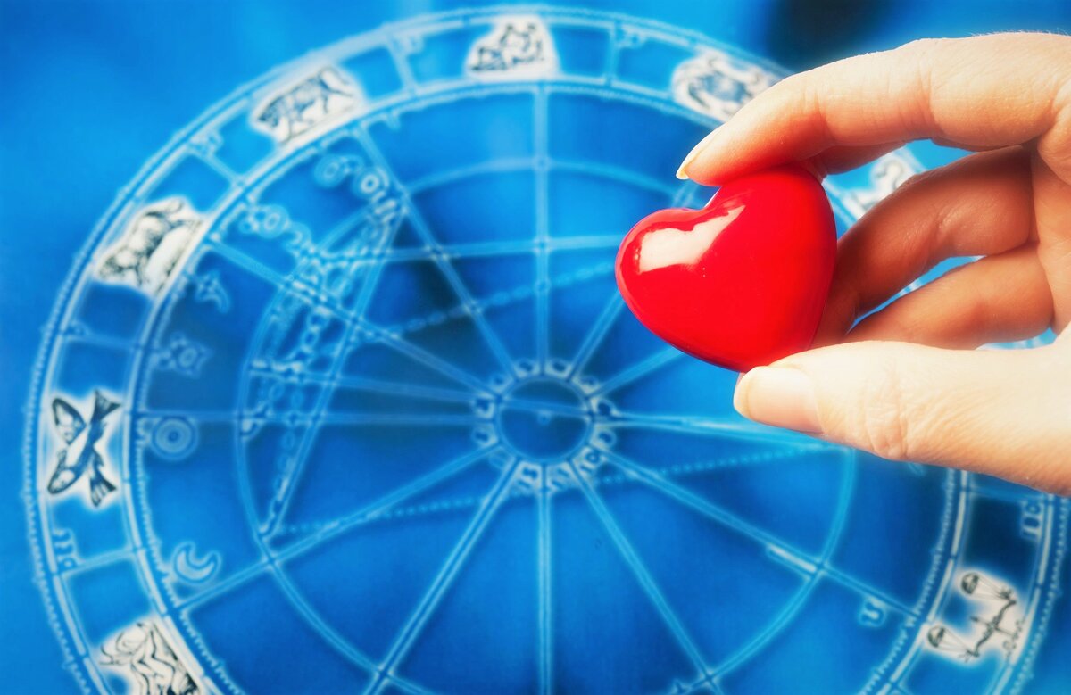 Фото из открытых источников Yandex.ru