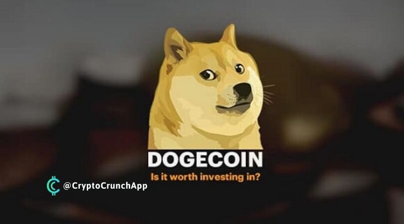 DOGECOIN NEWS