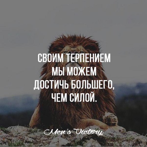 Взято с Гугл картинки 