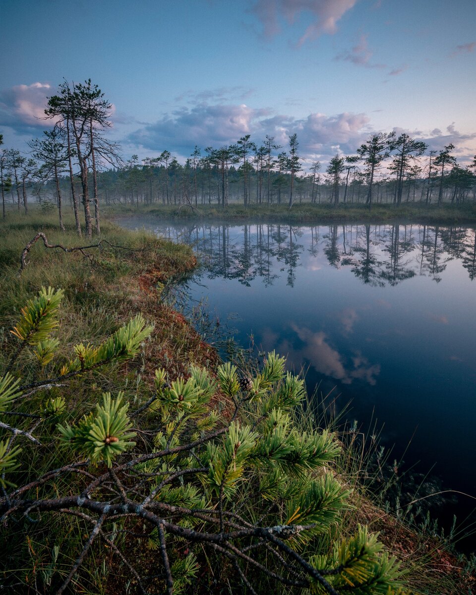 Ленинградская область. Июль 2019 года. Снято на Nikon D850. Объектив Nikon 17-35 f/2.8