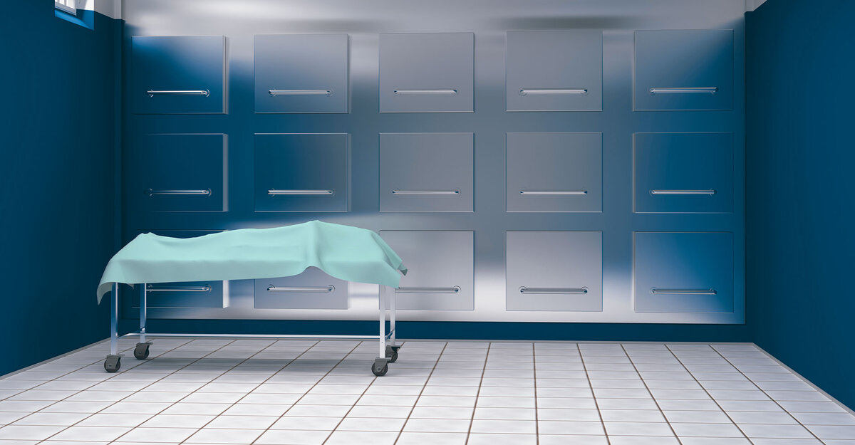 картинка из открытых источников.