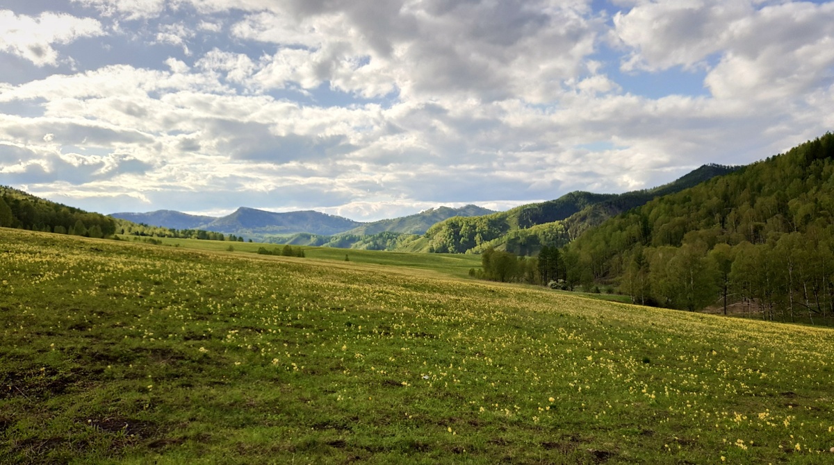 фото Hello Dervnia