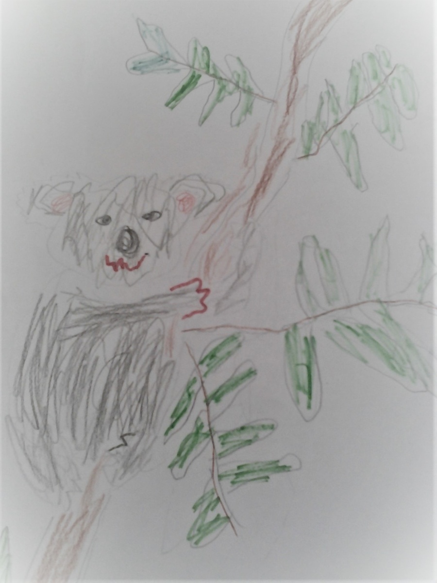 Картина  посвящается животным Австралии