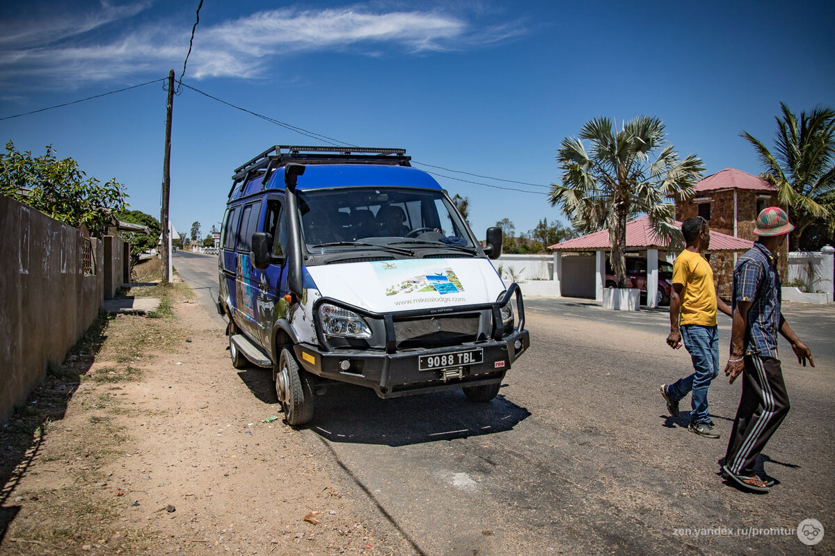 madagascar газель