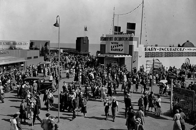 Выставка младенцев. источник: https://bigpicture.ru