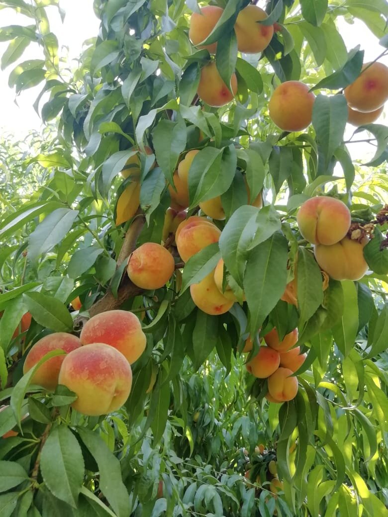 фото из личного архива