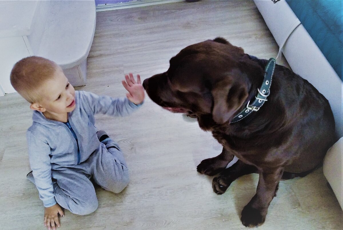                                        Андрюша и один из его лучших друзей - Персюша