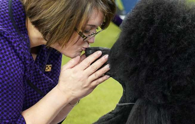 Тренер целует своего питомца после выступления