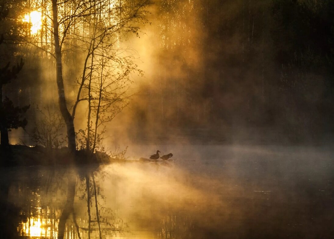 Фото взято из Яндекс.Картинки, использовано в качестве иллюстрации