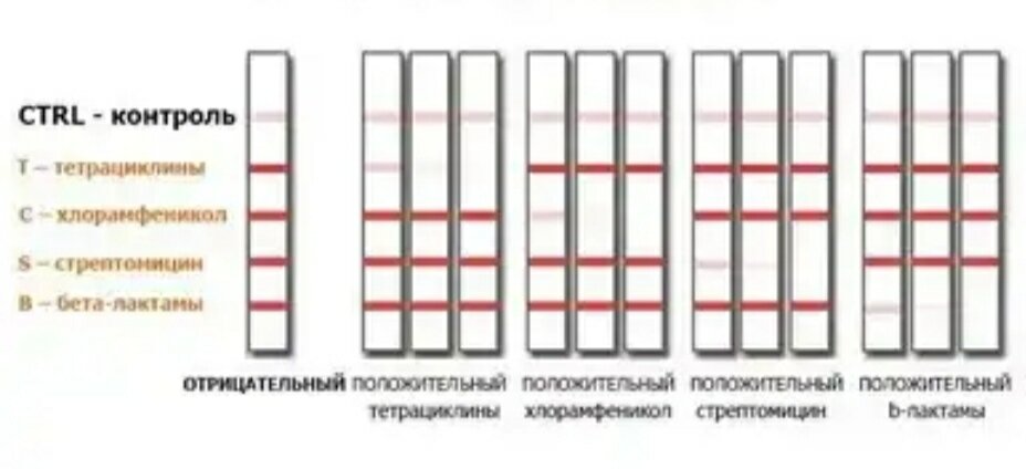 Тест молока. Тест полоски на антибиотики в молоке. Тест полоски на антибиотики в молоке результат. Тесты для определения антибиотиков в молоке. Тесты на молоко на антибиотики.