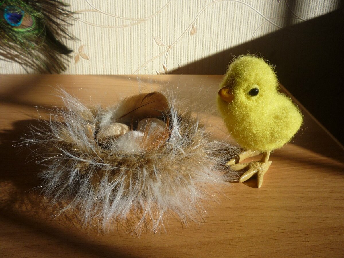 мой архив   яйца в гнезде тоже валяные из шерсти