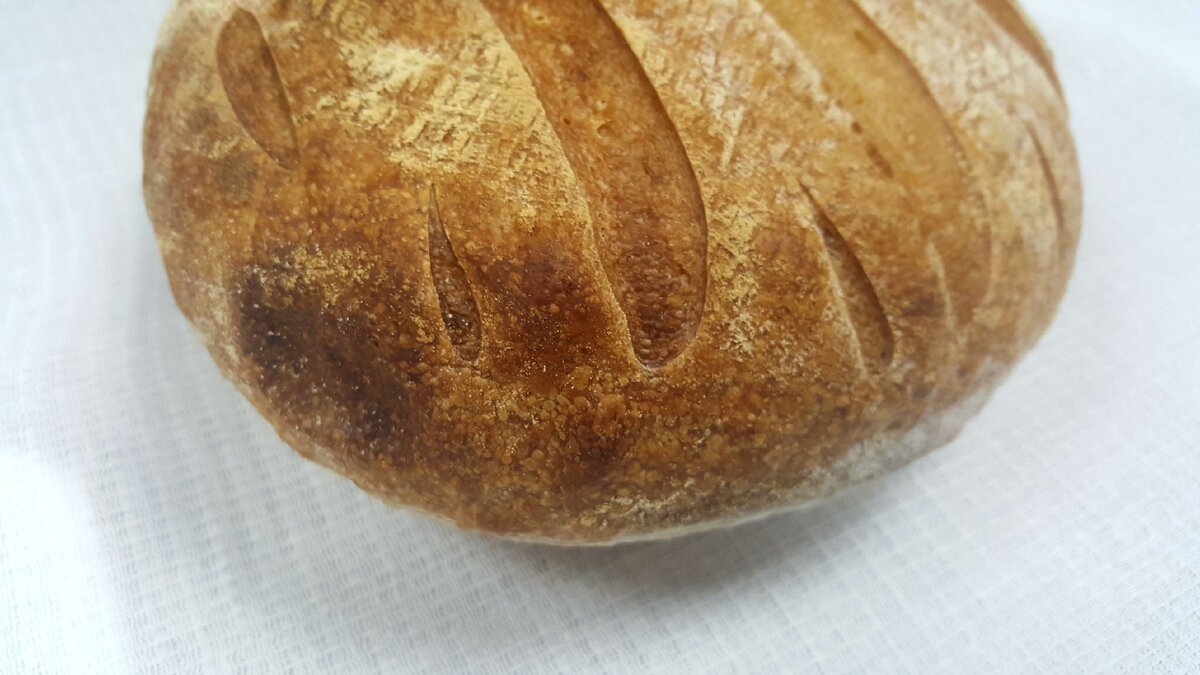 Ожоги на корке из-за недостатка пара