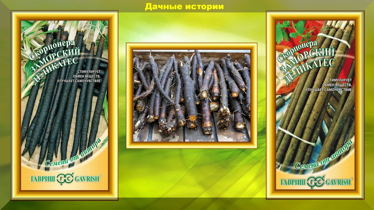 https://vk.com/photo-159774511_457243799