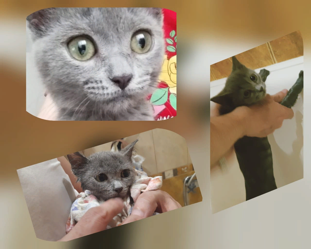 Фото из личного архива