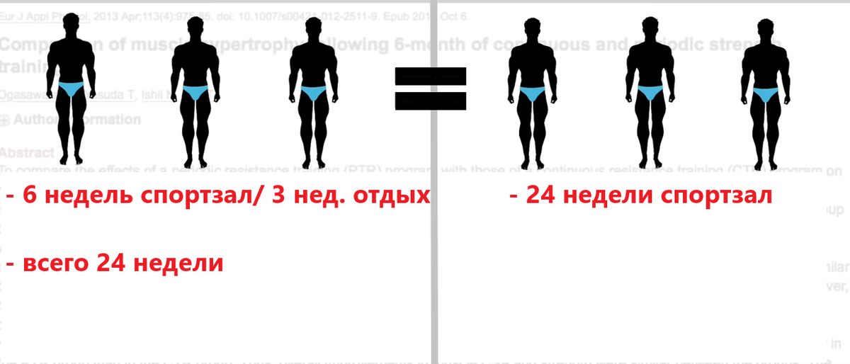 Сравнение отдыхавших и не отдыхавших в периоде 24 недель.