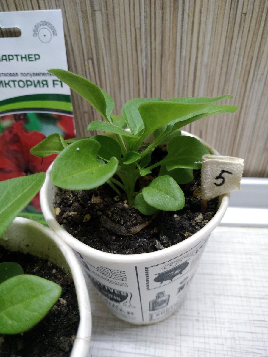 Листаем галерею ;)