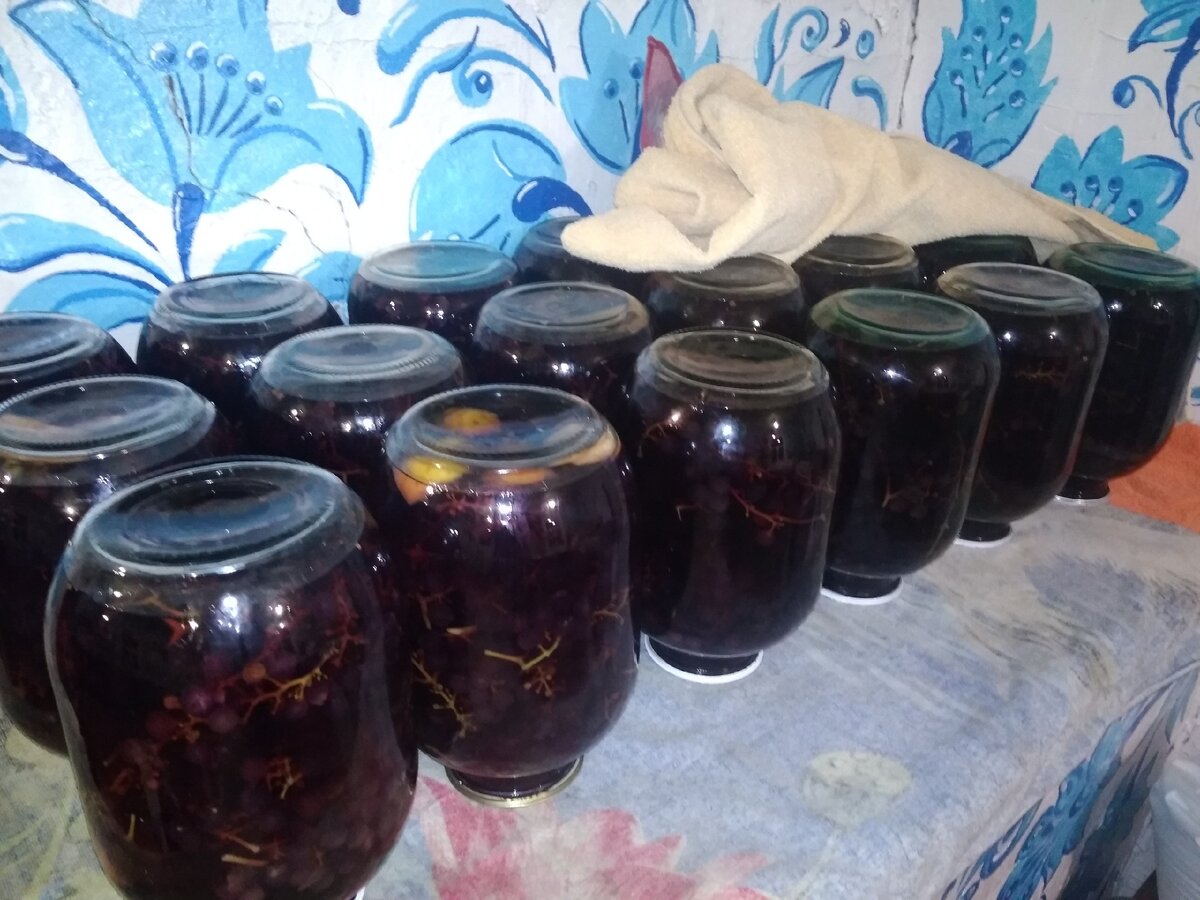 Виноградный компот