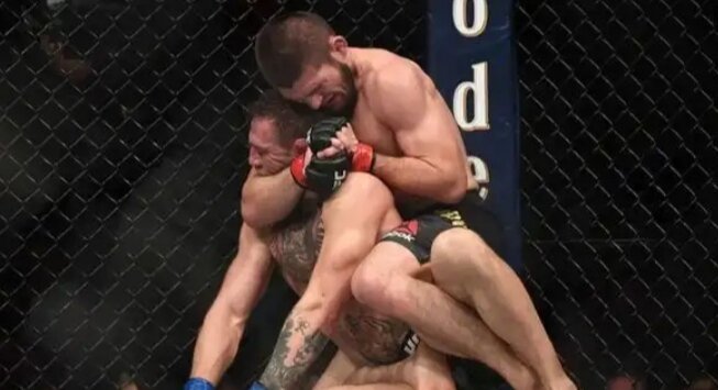 Взято с Яндекс Фото.