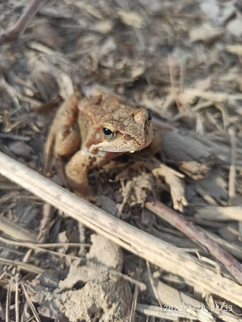 Фото из собственного архива 