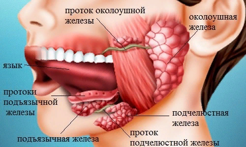В Центре радиологии в Обнинске открыт набор пациентов для лечения щитовидной железы