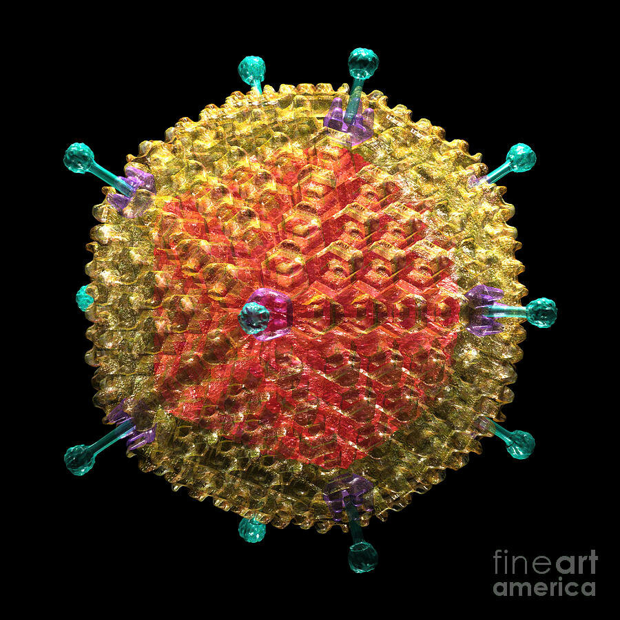 Из интернета