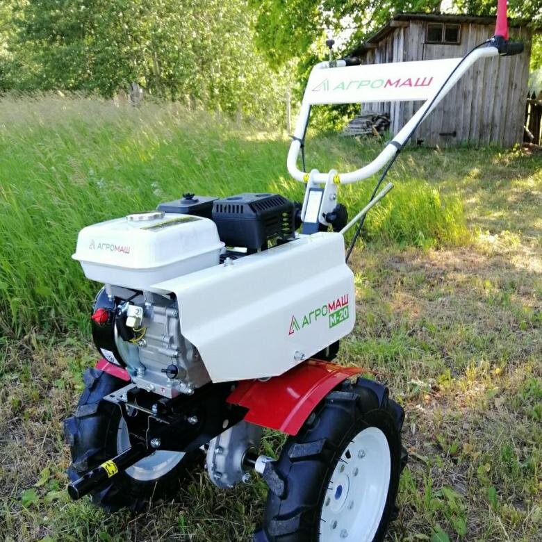 Фото из Яндекс Картинок