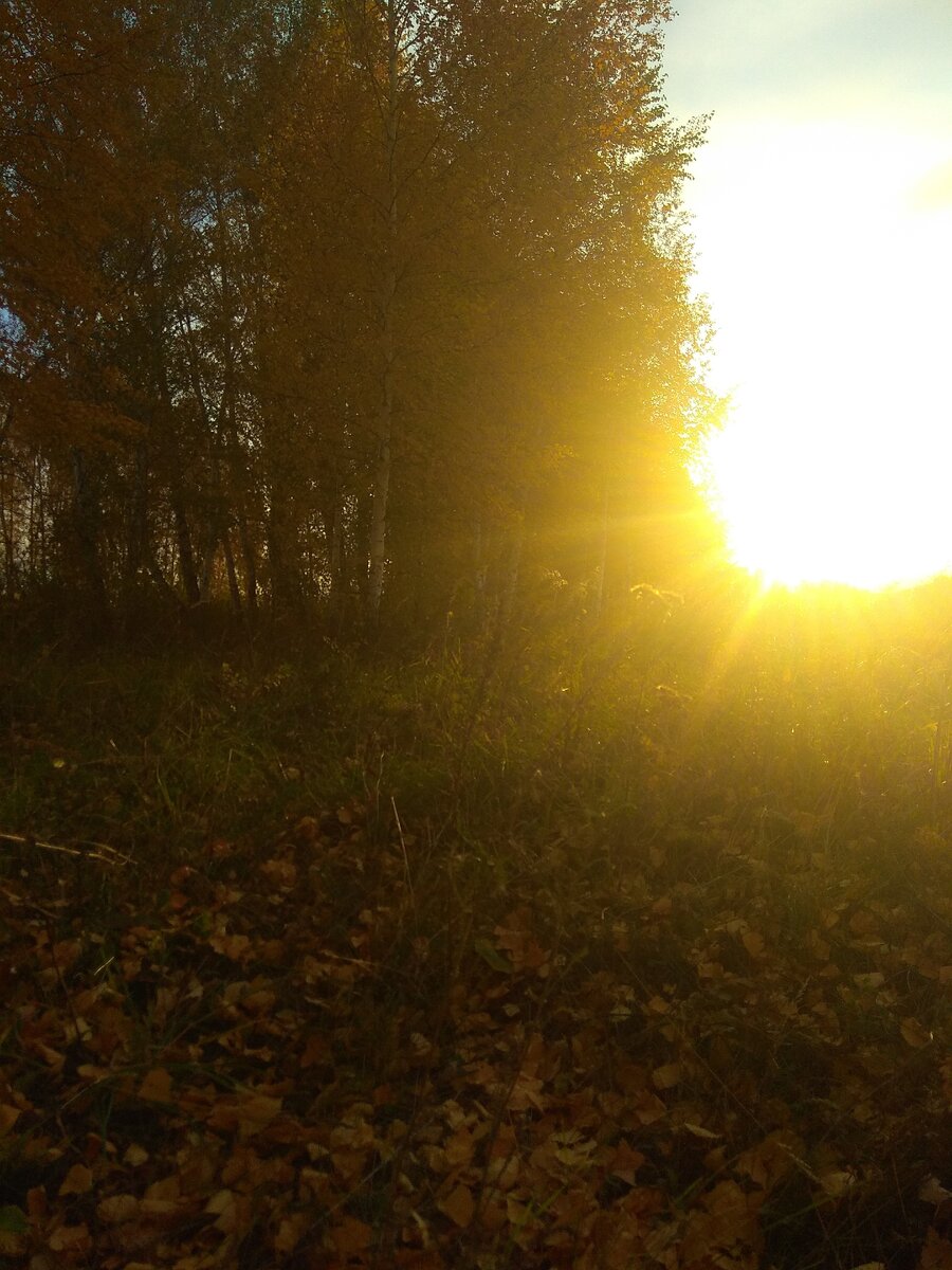 Осенний закат