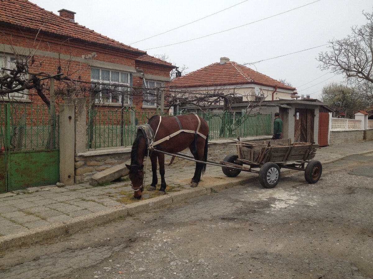 Цыгане в болгарии