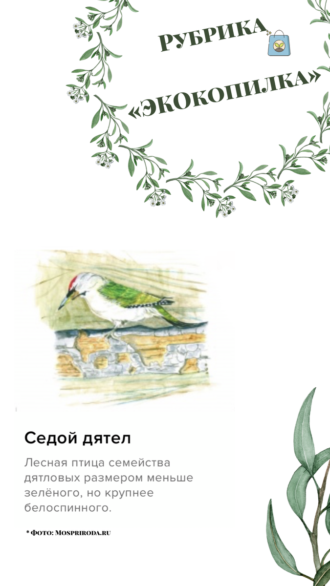 Фото из собственного архива