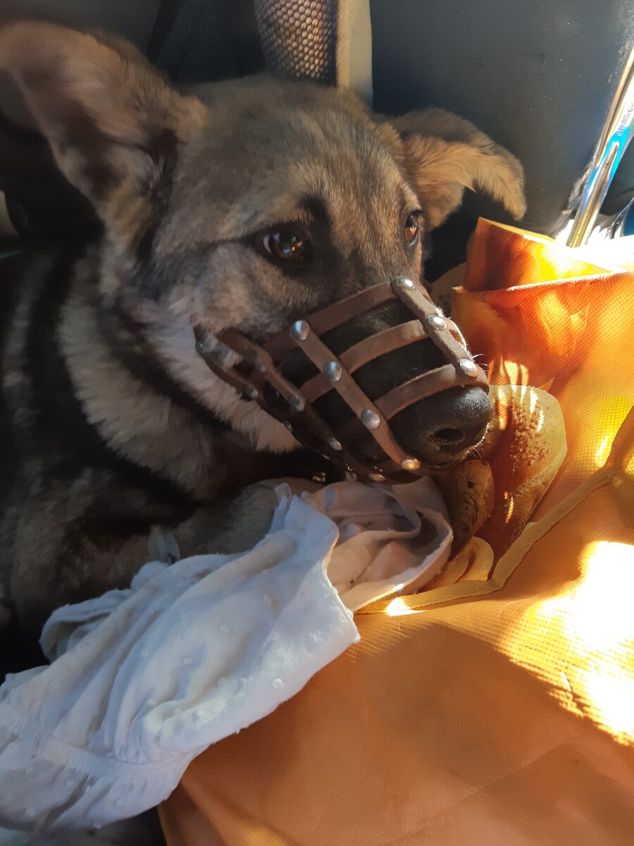 Фотография из личного архива