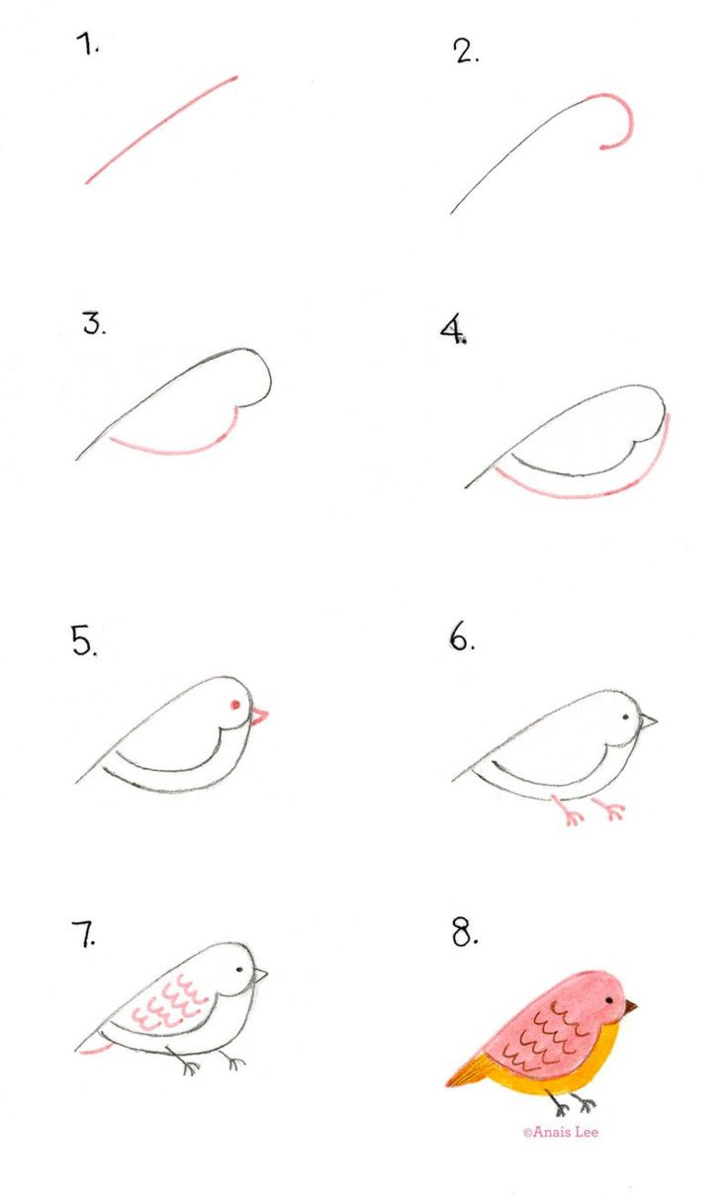 Рисование птички. Поэтапное рисование птиц. Последовательное рисование птицы. Рисование птицы пошагово. Рисование птиц для детей.
