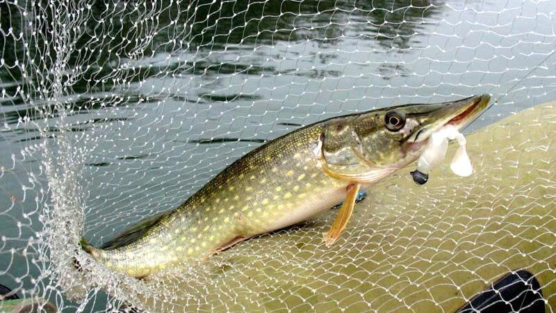 Щука на джиг